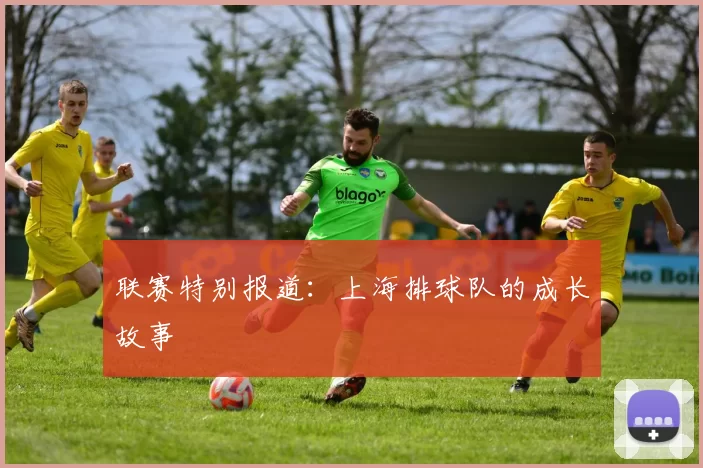 联赛特别报道：上海排球队的成长故事