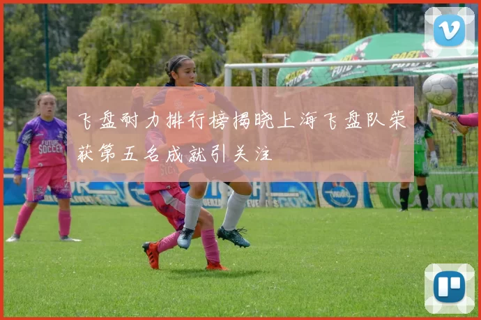 飞盘耐力排行榜揭晓上海飞盘队荣获第五名成就引关注