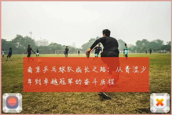 南京乒乓球队成长之路：从青涩少年到卓越冠军的奋斗历程