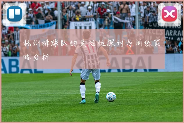 杭州排球队的灵活性探讨与训练策略分析