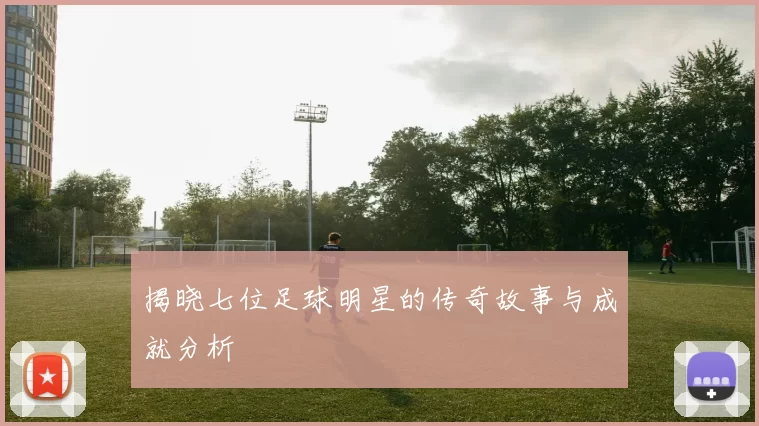 揭晓七位足球明星的传奇故事与成就分析