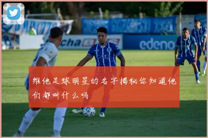 维他足球明星的名字揭秘你知道他们都叫什么吗