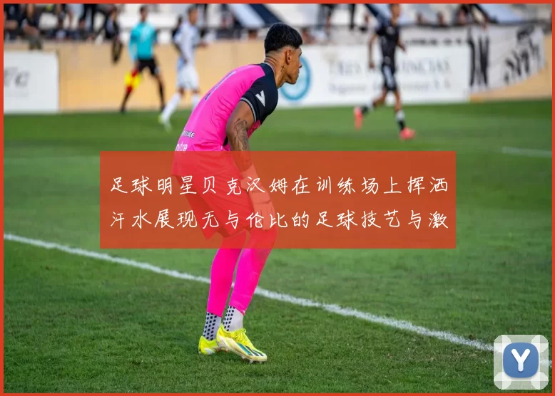 足球明星贝克汉姆在训练场上挥洒汗水展现无与伦比的足球技艺与激情
