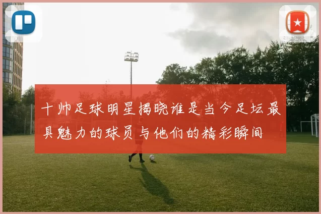 十帅足球明星揭晓谁是当今足坛最具魅力的球员与他们的精彩瞬间