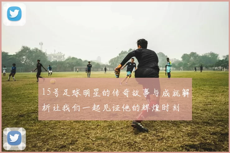 15号足球明星的传奇故事与成就解析让我们一起见证他的辉煌时刻