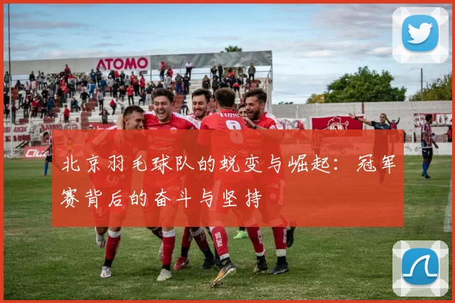 北京羽毛球队的蜕变与崛起：冠军赛背后的奋斗与坚持