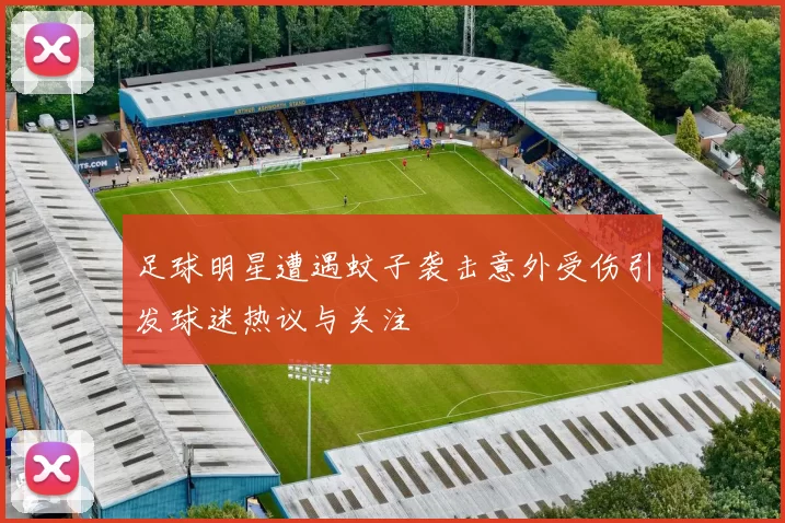 足球明星遭遇蚊子袭击意外受伤引发球迷热议与关注