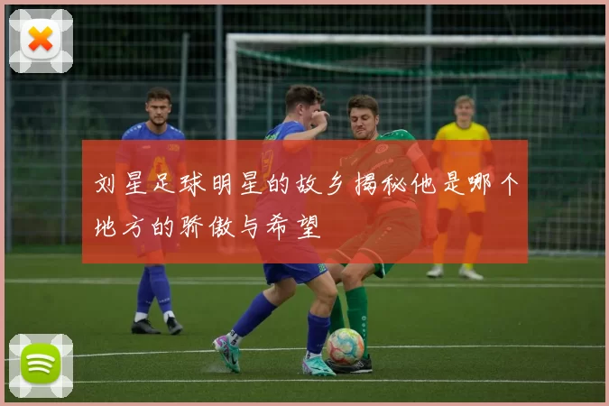 刘星足球明星的故乡揭秘他是哪个地方的骄傲与希望