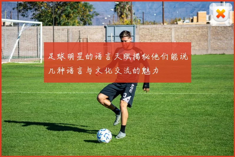 足球明星的语言天赋揭秘他们能说几种语言与文化交流的魅力