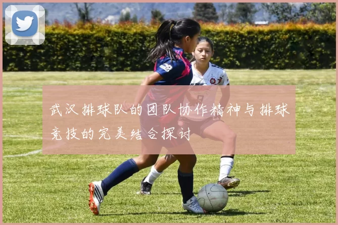 武汉排球队的团队协作精神与排球竞技的完美结合探讨
