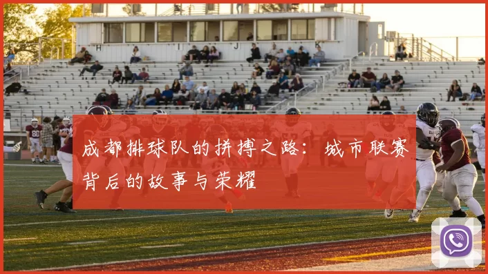 成都排球队的拼搏之路：城市联赛背后的故事与荣耀