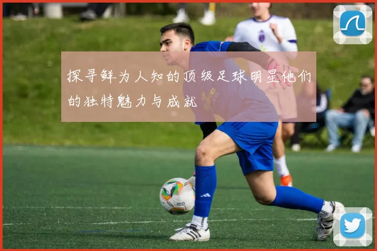 探寻鲜为人知的顶级足球明星他们的独特魅力与成就