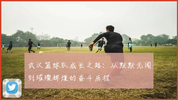 武汉篮球队成长之路：从默默无闻到璀璨辉煌的奋斗历程