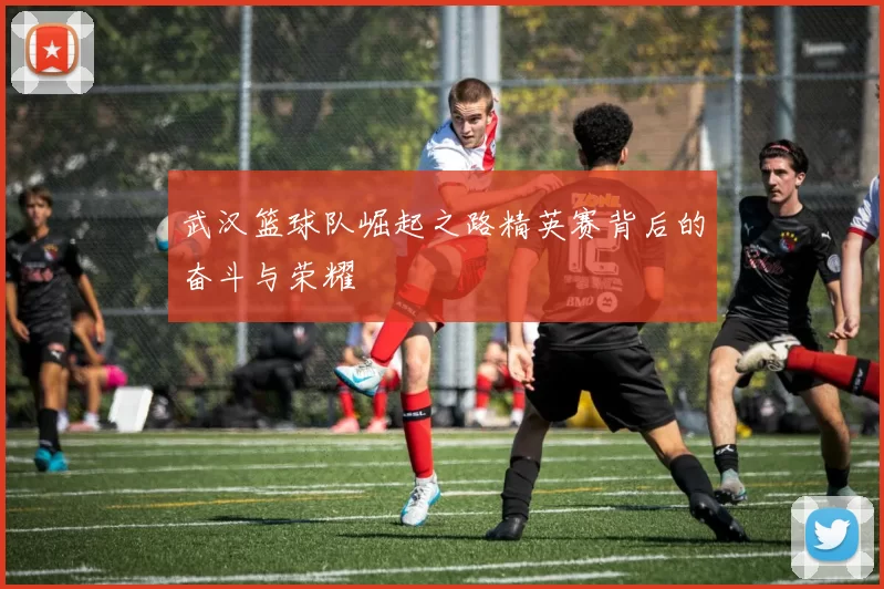 武汉篮球队崛起之路精英赛背后的奋斗与荣耀