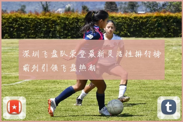 深圳飞盘队荣登最新灵活性排行榜前列引领飞盘热潮