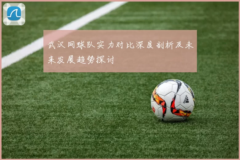 武汉网球队实力对比深度剖析及未来发展趋势探讨