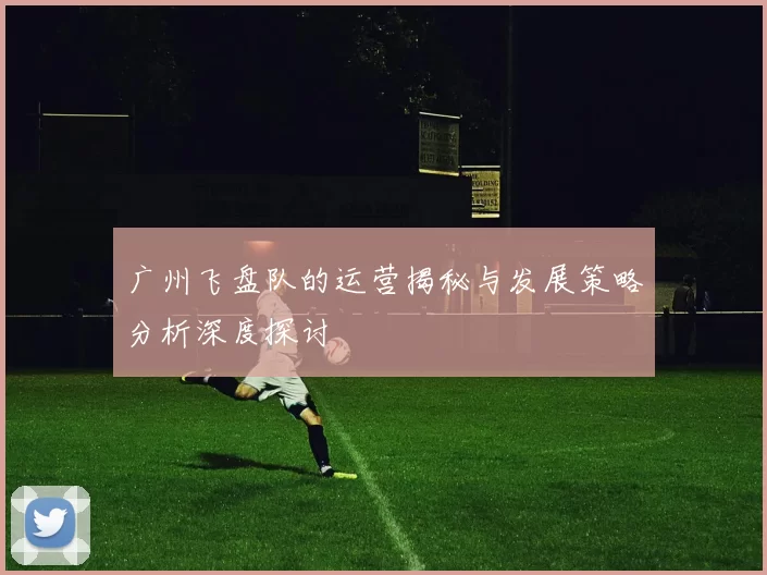 广州飞盘队的运营揭秘与发展策略分析深度探讨
