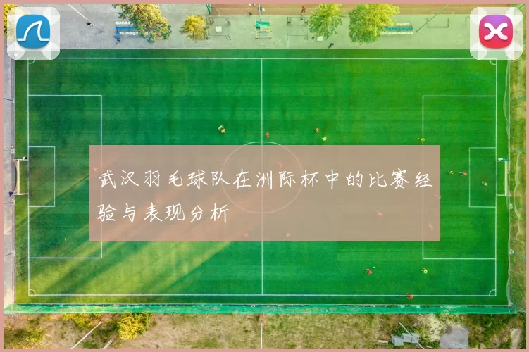 武汉羽毛球队在洲际杯中的比赛经验与表现分析